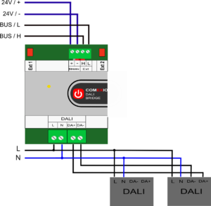 Dali Verdrahtung